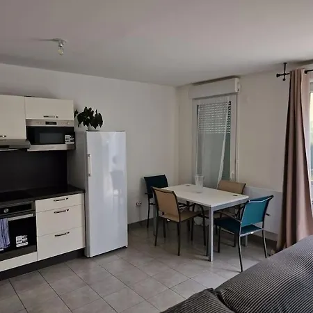 Duplex Avec Terrasse Et Jardin Apartamento